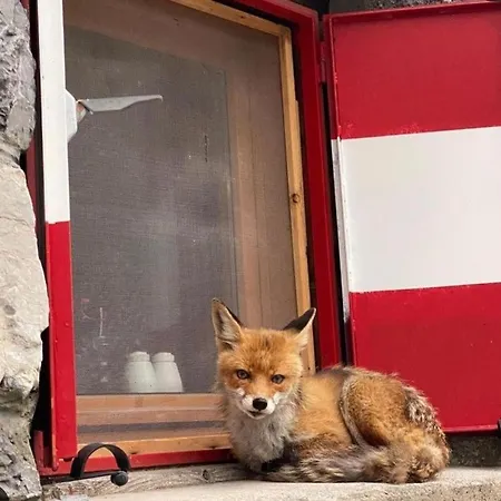 דירה Giuly & Snow Relax Fronte Piste אפריקה